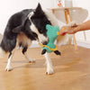 Pawsindia King the Cub Toy for Dogs Dogs-Toys Pawsindia