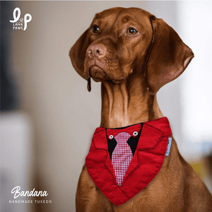 Lana Paws Applique Work Tuxedo Adjustable Bandana for Dogs (Red)