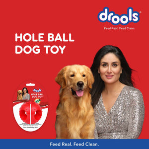 Drools Non Toxic Rubber Hole Ball Teething Toy for Puppies and Dogs | For Aggressive Chewers