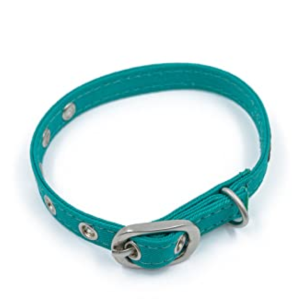 PetWale Collar for Cats (Turquoise)