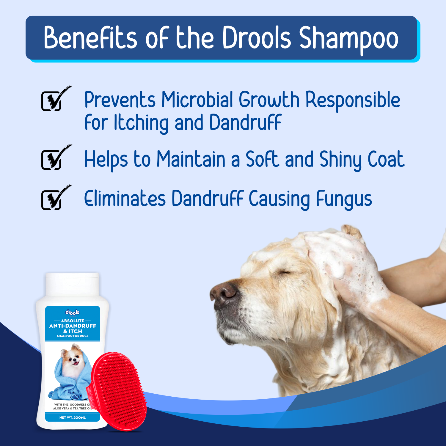 Drools Anti Dandruff and Itch Shampoo for Dogs (Free Hand Brush)