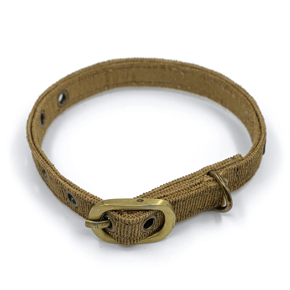 PetWale Collar for Cats (Bronze)