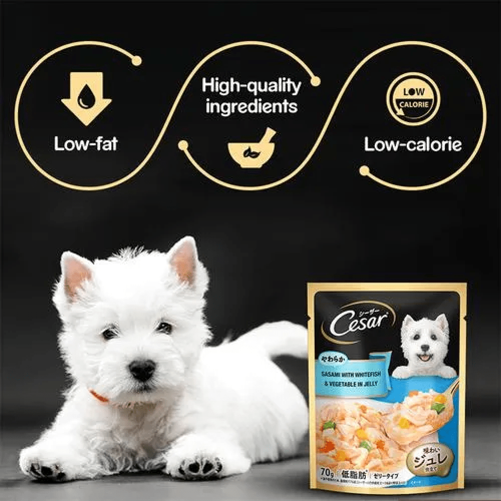 Cesar Sasami with Whitefish & Vegetable in Jelly Dog Wet Food