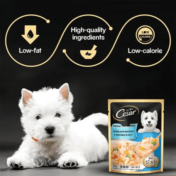 Cesar Sasami with Whitefish & Vegetable in Jelly Dog Wet Food