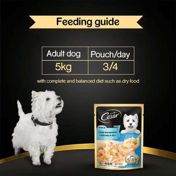 Cesar Sasami with Whitefish & Vegetable in Jelly Dog Wet Food