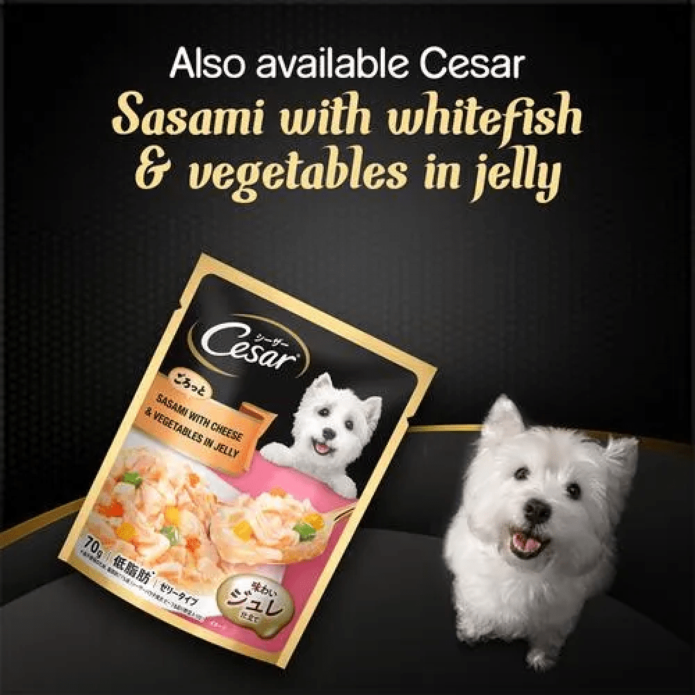 Cesar Sasami with Whitefish & Vegetable in Jelly Dog Wet Food