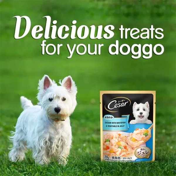 Cesar Sasami with Whitefish & Vegetable in Jelly Dog Wet Food