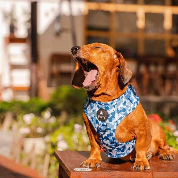 Furry & Co Cool Camo No Pull Harness for Dogs