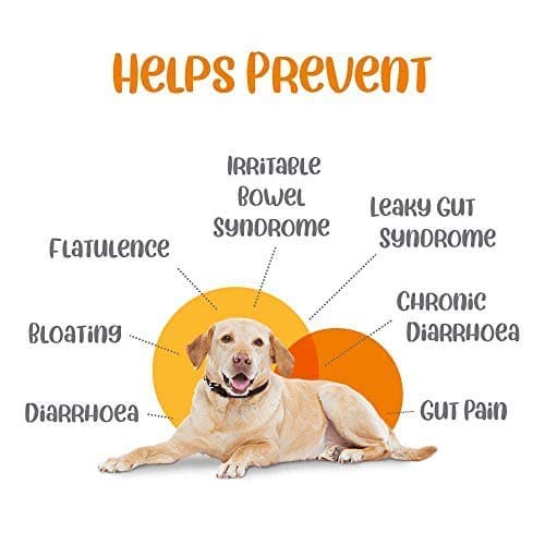 Vivaldis Entero Secure BD Tablet for Dogs and Cats Both-Health & Wellness Vivaldis