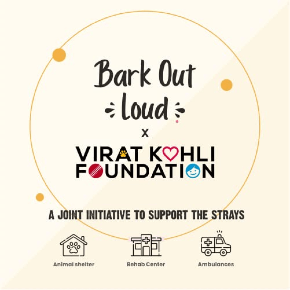 Bark Out Loud Skin & Coat Sardine Oil for Dogs and Cats Both-Health & Wellness Bark Out Loud