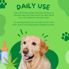 Healing Leaf Hemp Oil for Pets and Drools Absolute Salmon Oil Syrup Supplement for Dogs for Combo Dogs-Health & Wellness Exclusive Combo