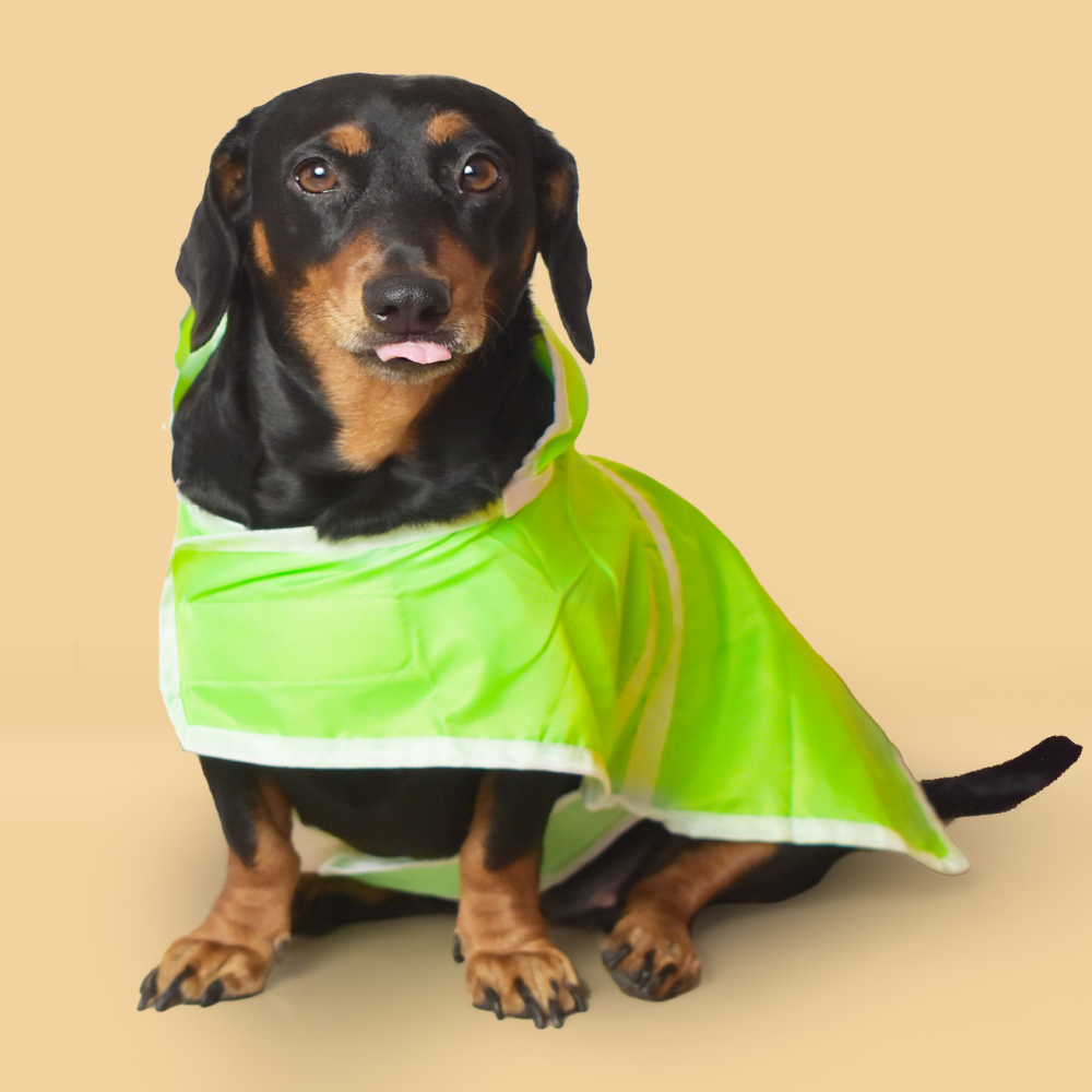 Pet Set Go Raincoat for Dogs (Green)
