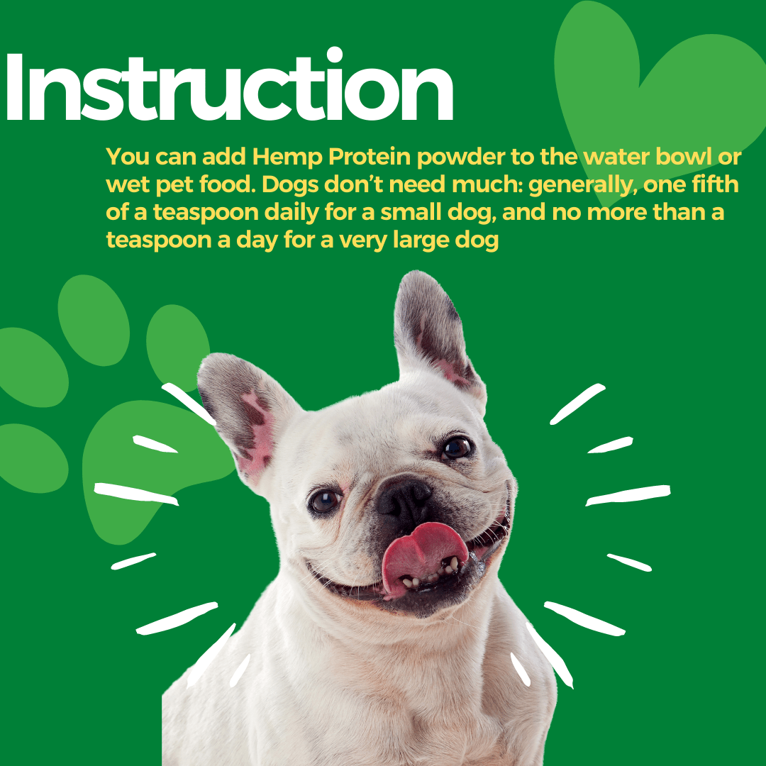 Healing Leaf Hemp Protein Powder and Bark Out Loud Immunity Multi Vitamin Chew Stix for Dogs and Cats Combo Exclusive Combo Exclusive Combo