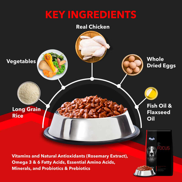Drools Focus Super Premium Puppy Dry Food and Real Chicken & Chicken Liver Chunks in Gravy Puppy Wet Food Combo