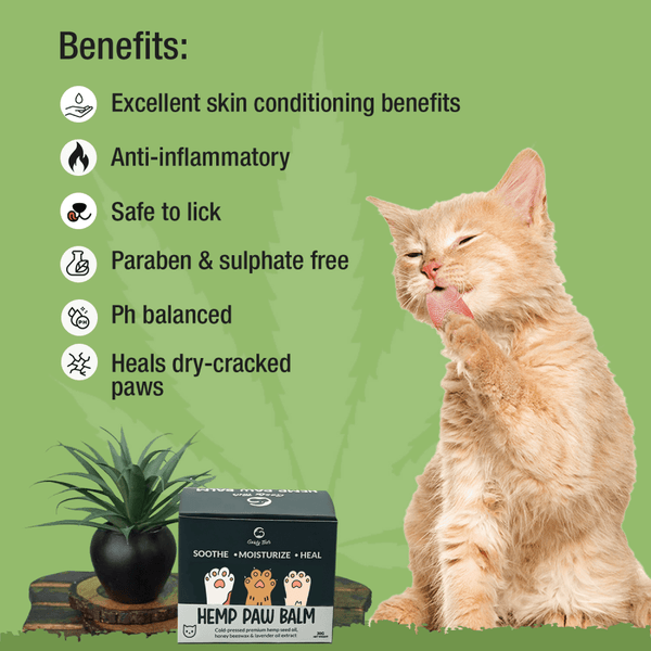 Goofy Tails Hemp Butter Paw Cream for Cats