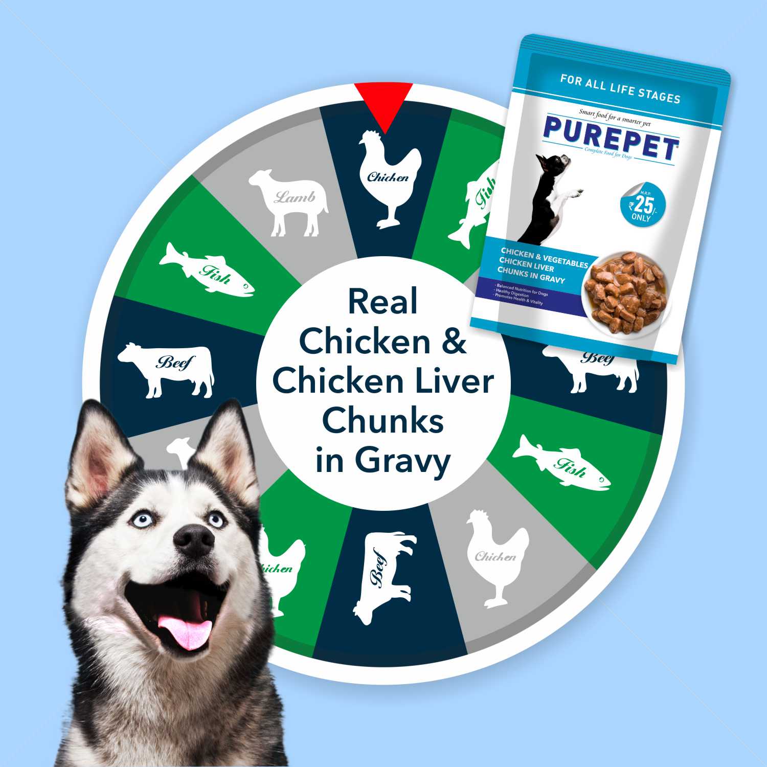 Purepet Chicken & Vegetable Chunks in Gravy Adult Dog Wet Food