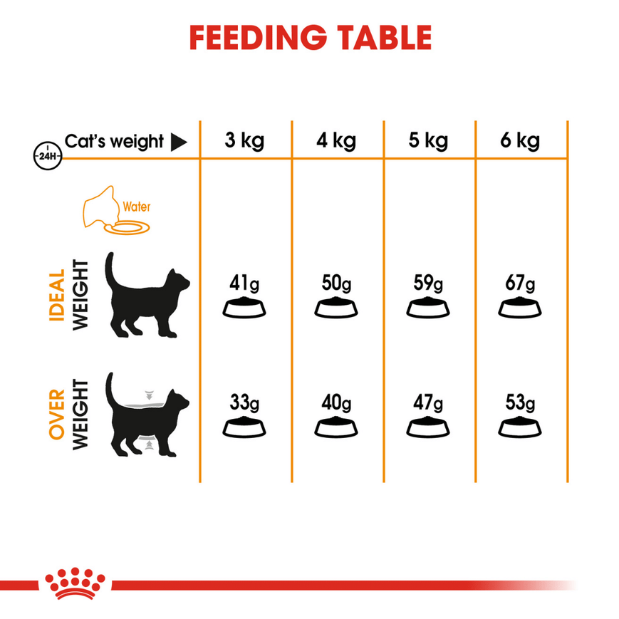 Royal Canin Hair & Skin, Hairball and Urinary Care Adult Cat Dry Food Combo Cats- Dry food Royal Canin