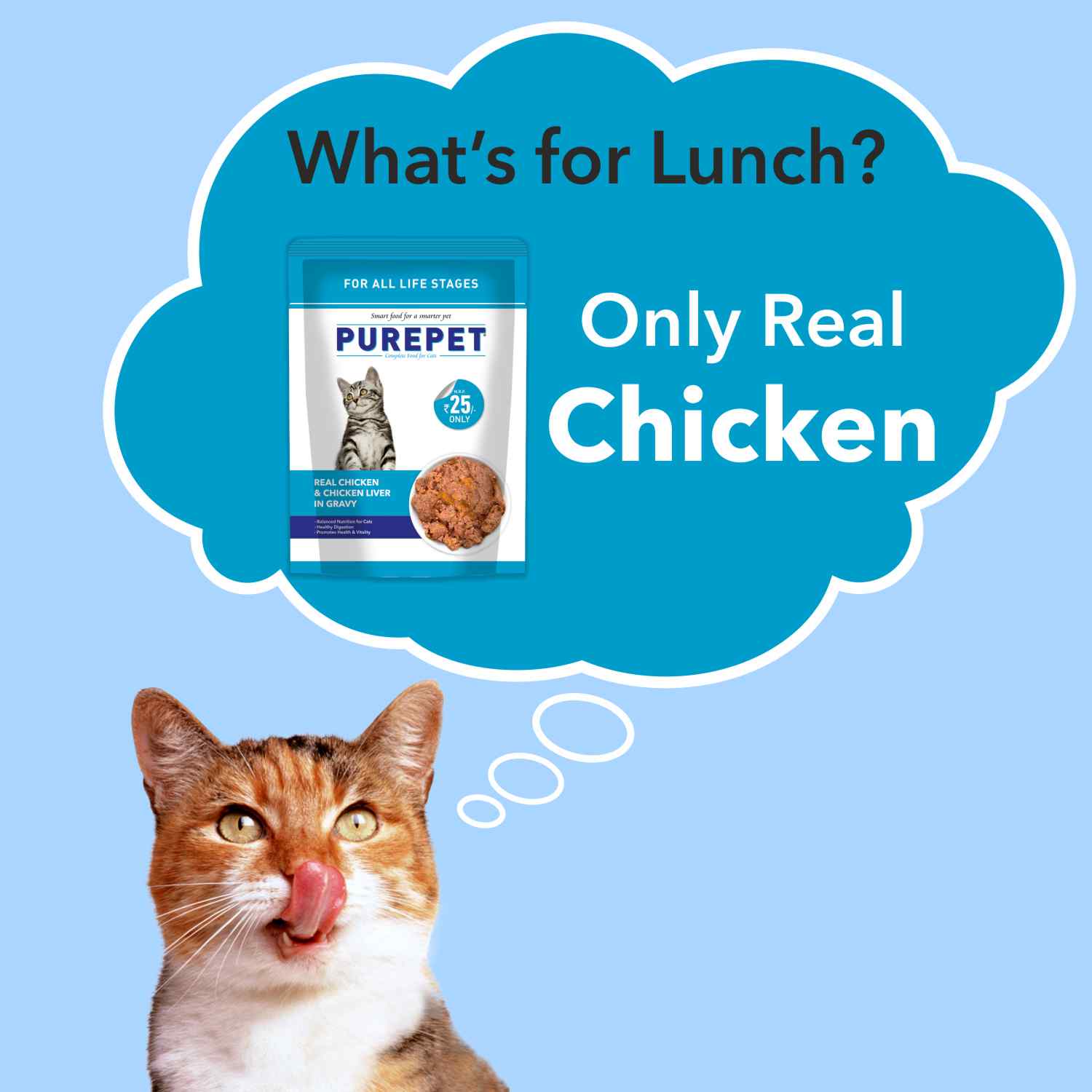 Purepet Real Chicken & Chicken Liver in Gravy Cat Wet Food