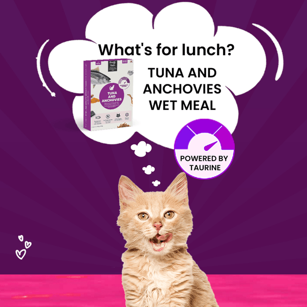 Goofy Tails Tuna and Anchovies Cat Wet Food