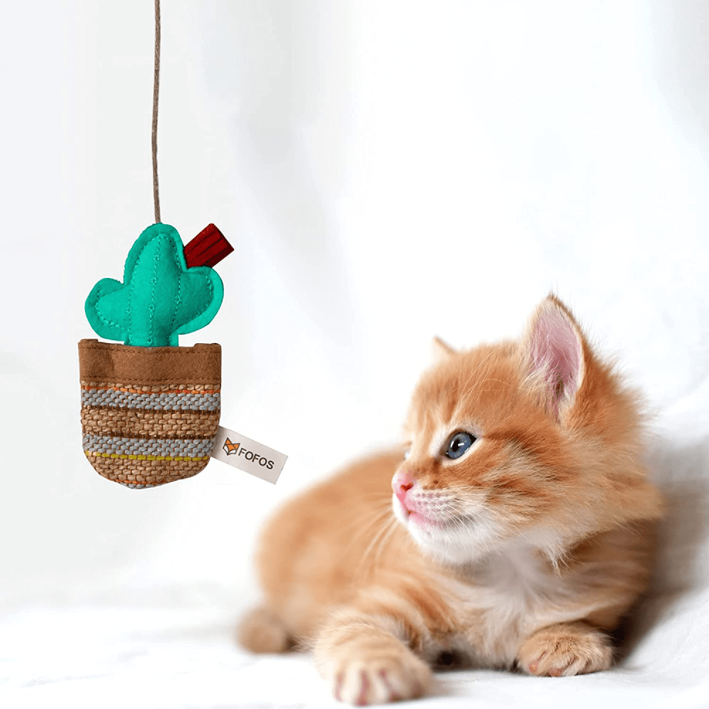Fofos Phoenix Cactus with Wooden Stick Toy for Cats