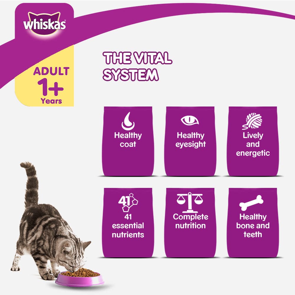 Whiskas Dry Food for Adult Cats (1+ Years) - Grilled Saba Flavour