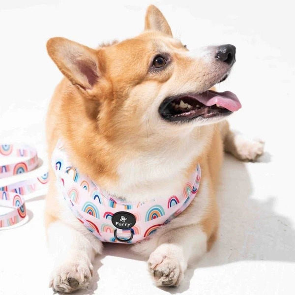 Furry & Co Raining Rainbow No Pull Harness for Dogs