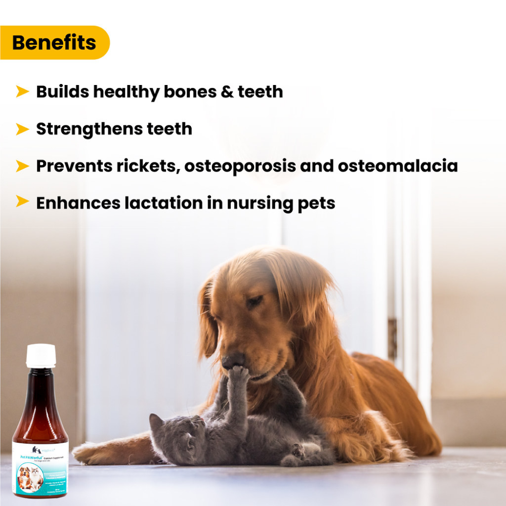 Wiggles Pet PAWerful Calcium Phosphorus Syrup Supplement for Dogs and Cats