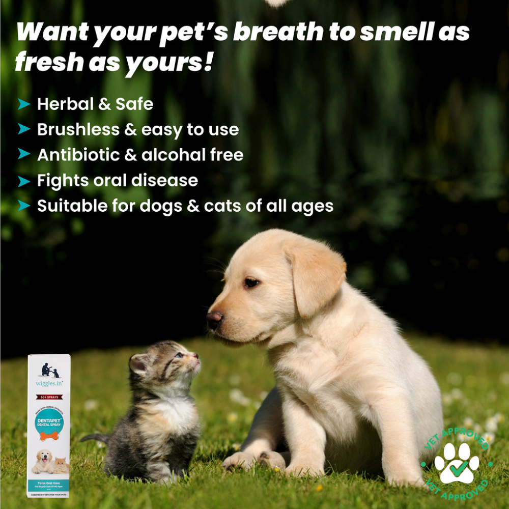 Wiggles DentaPet Mouth Freshner Spray for Dogs and Cats