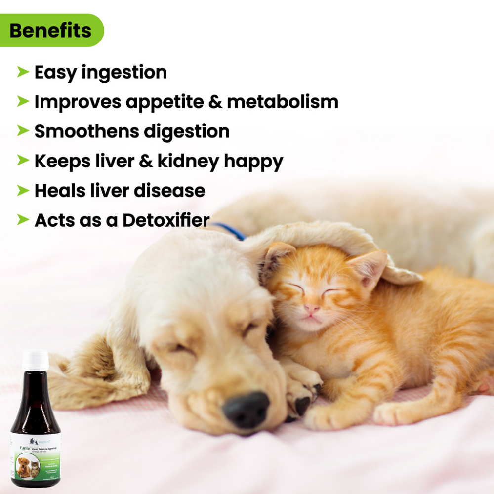 Wiggles Furliv Liver Tonic Appetite Booster for Dogs and Cats