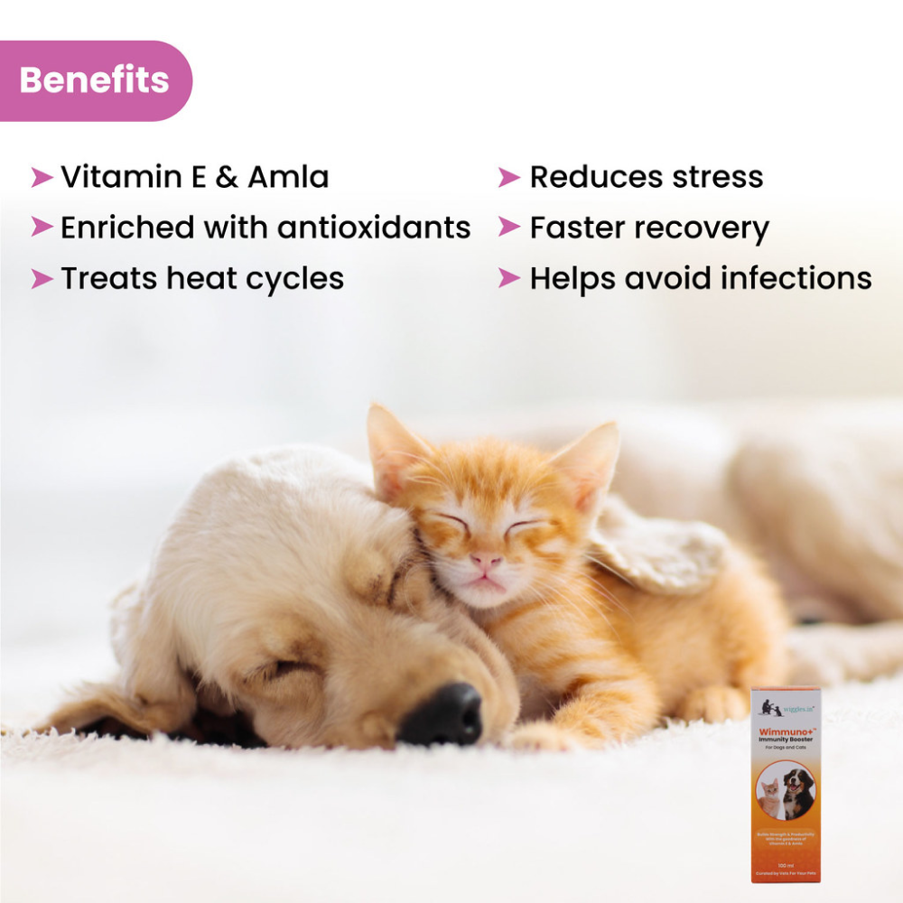 Wiggles Wimmuno+ Immunity Booster Probiotics Syrup Supplement for Dogs and Cats