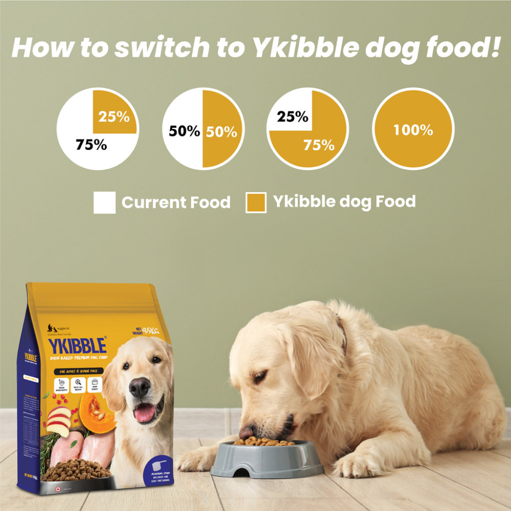 Wiggles Ykibble Oven Baked Adult Dog Dry Food
