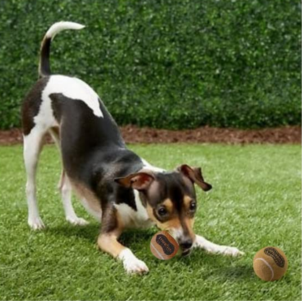 Petsport Peanut Butter Scented Tuff Ball chew Toy for Dogs