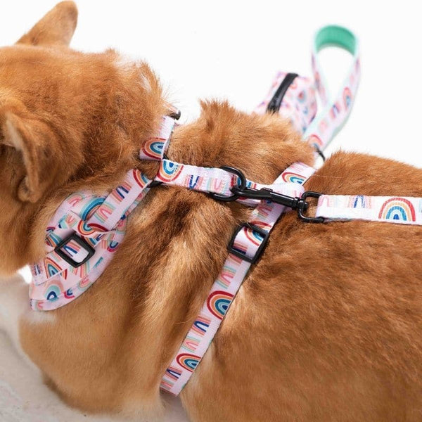 Furry & Co Raining Rainbow No Pull Harness for Dogs