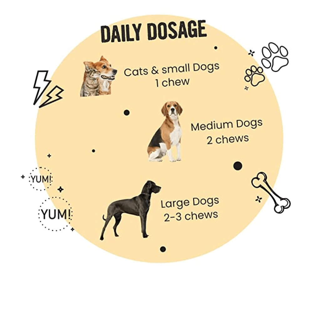 Turmeric chews for sales dogs