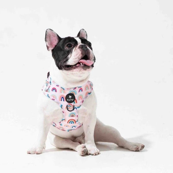 Furry & Co Raining Rainbow No Pull Harness for Dogs