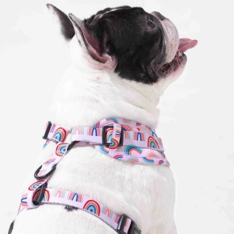 Furry & Co Raining Rainbow No Pull Harness for Dogs