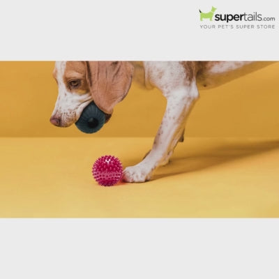 Goofy Tails Hard Squeaky Rubber Ball Toy for Dogs