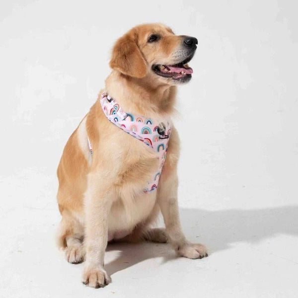 Furry & Co Raining Rainbow No Pull Harness for Dogs