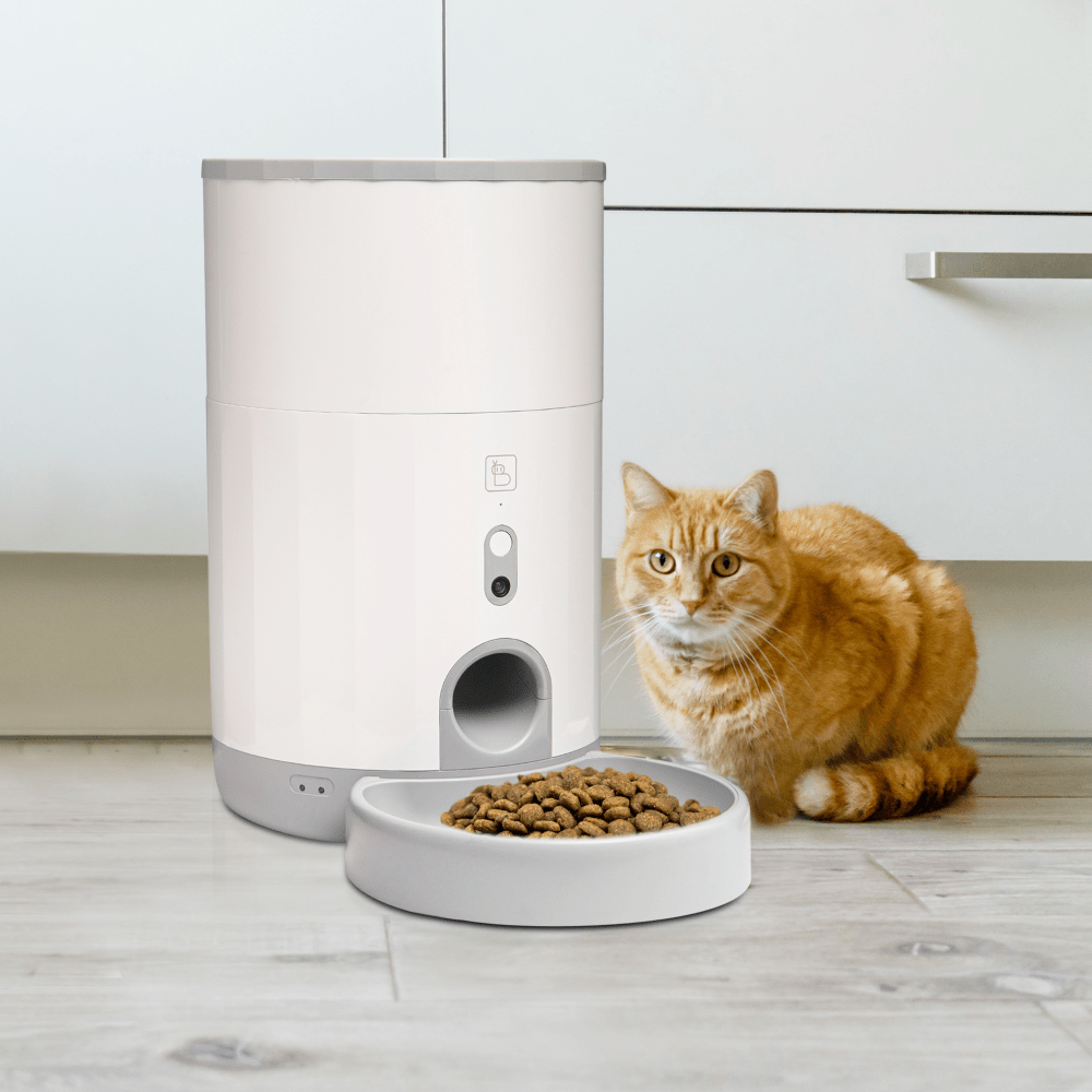 Baybot App Controlled Wirefree Camera and Smart Automatic Pet Feeder for Dogs and Cats Combo