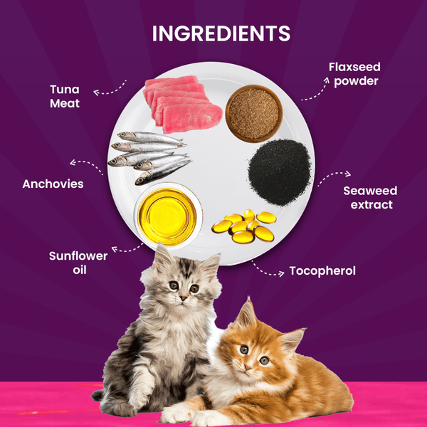 Goofy Tails Tuna and Anchovies Cat Wet Food