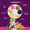 Goofy Tails Tuna and Anchovies Cat Wet Food