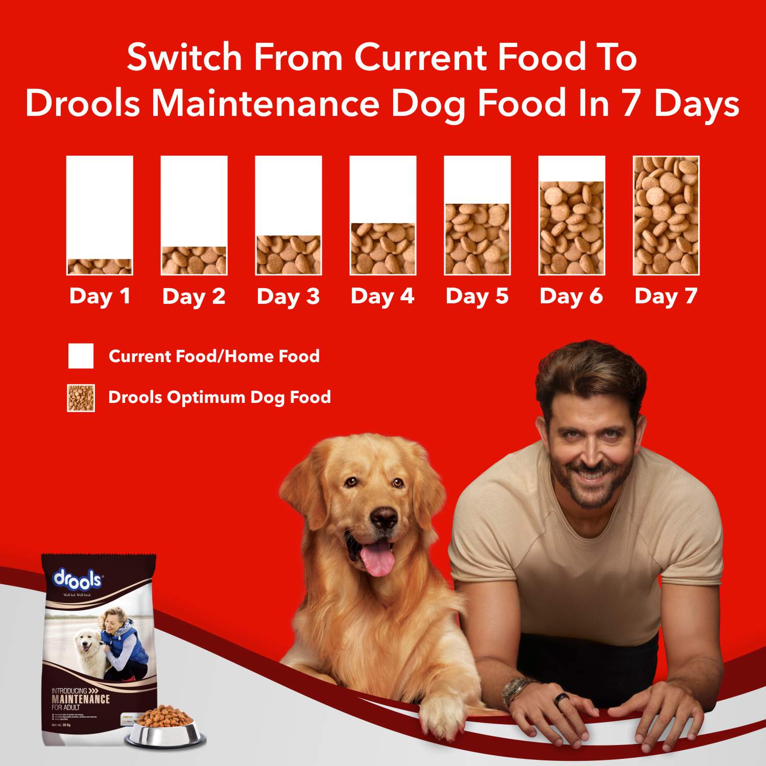 Drools Maintenance Chicken Flavor Adult Dog Dry Food