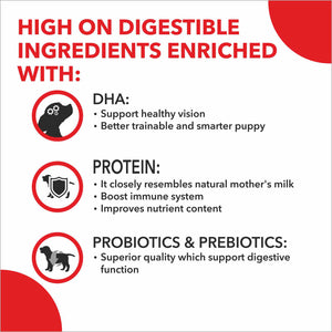 Drools Pup Booster Puppy Weaning Diet for All Breeds