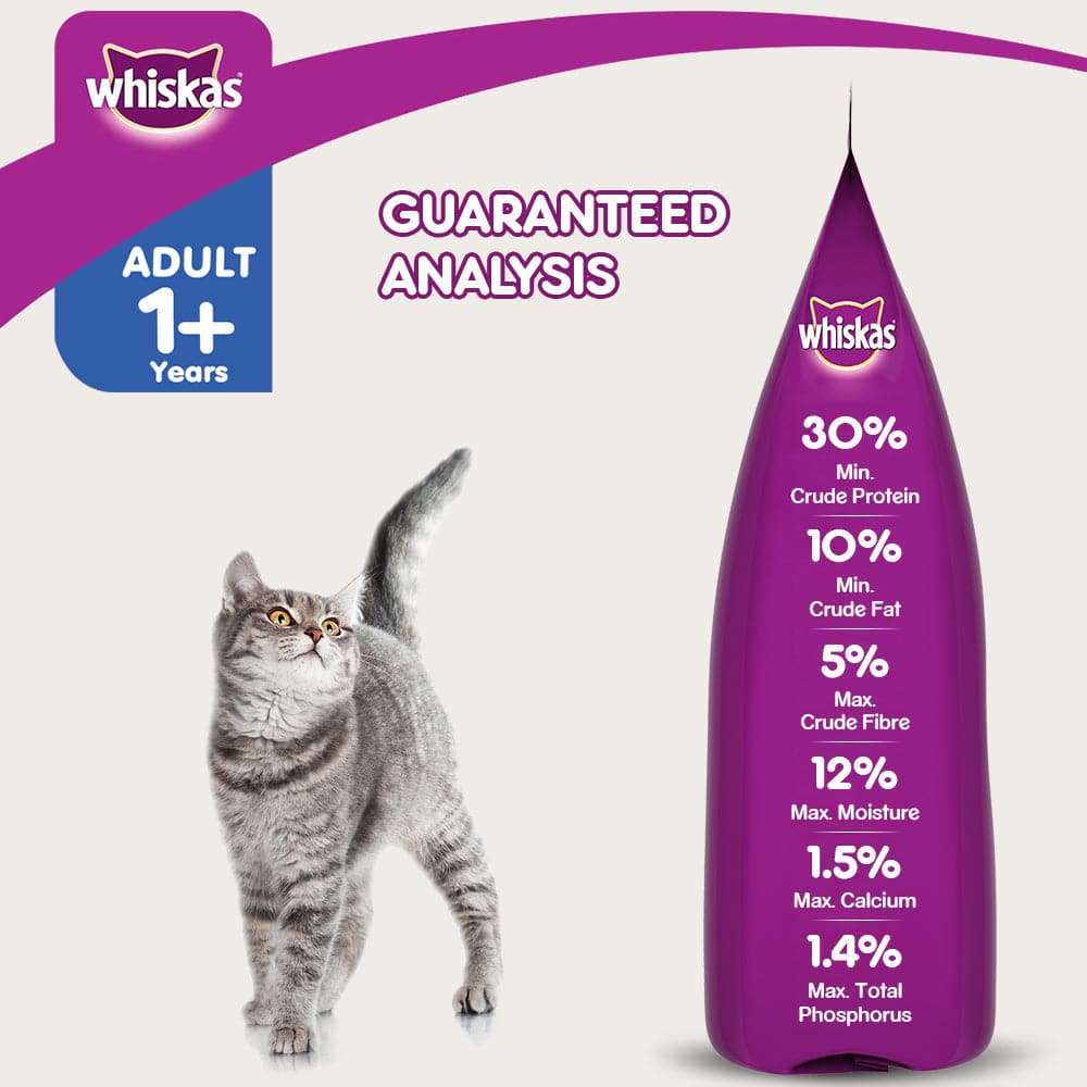 Whiskas Dry Food for Adult Cats (1+ Years), For Healthy Skin & Coat