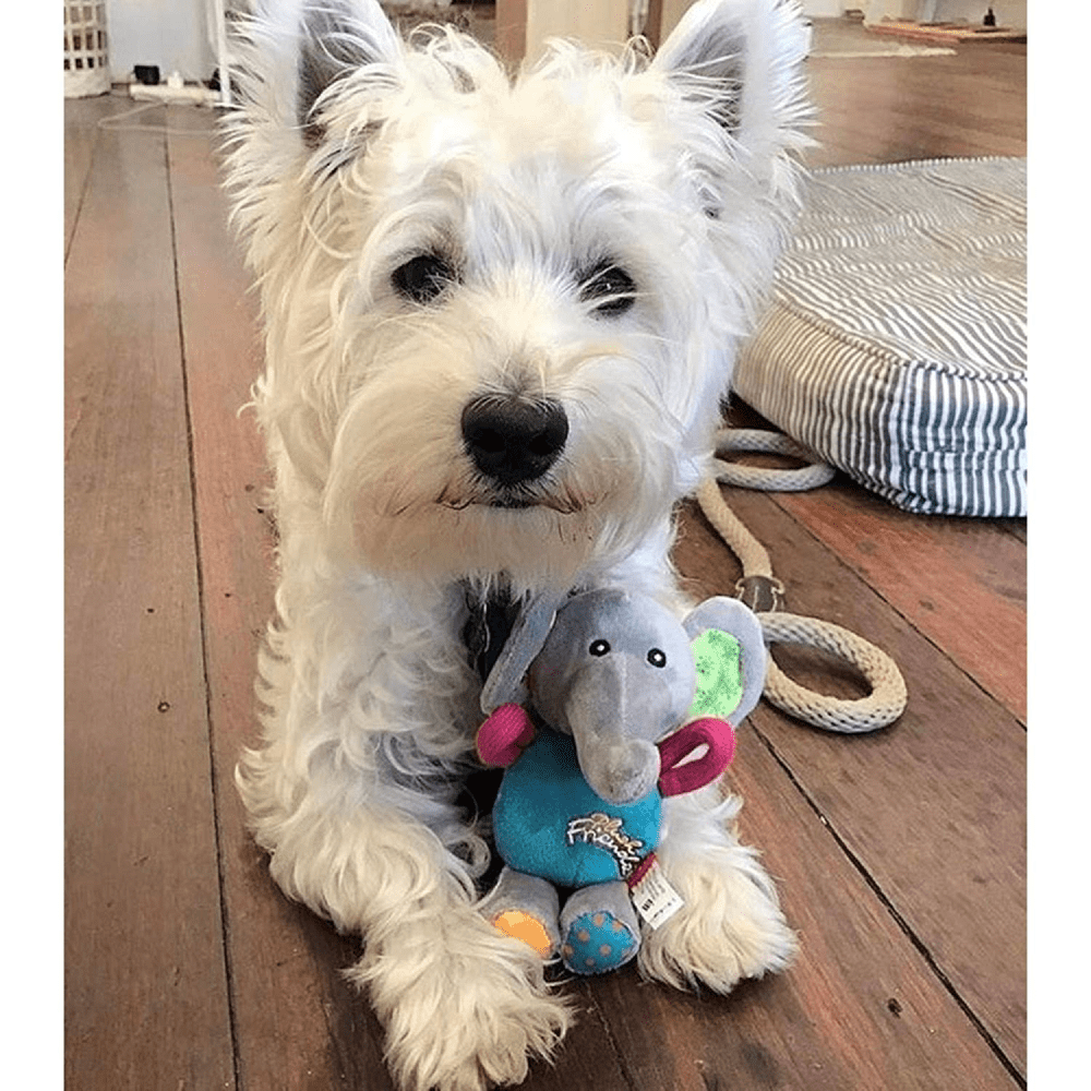 GiGwi Plush Friendz with Squeaker Elephant Toy for Dogs | For Soft Chewers