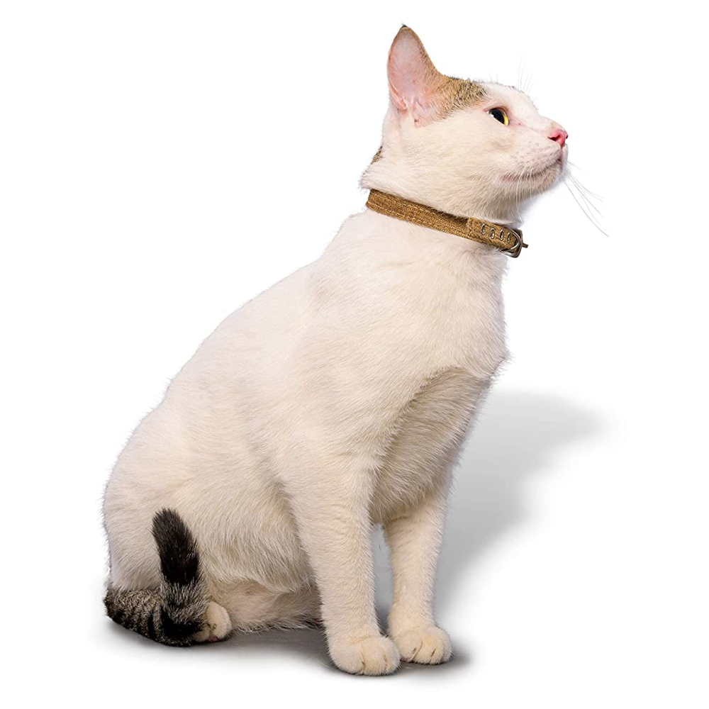 PetWale Collar for Cats (Bronze)