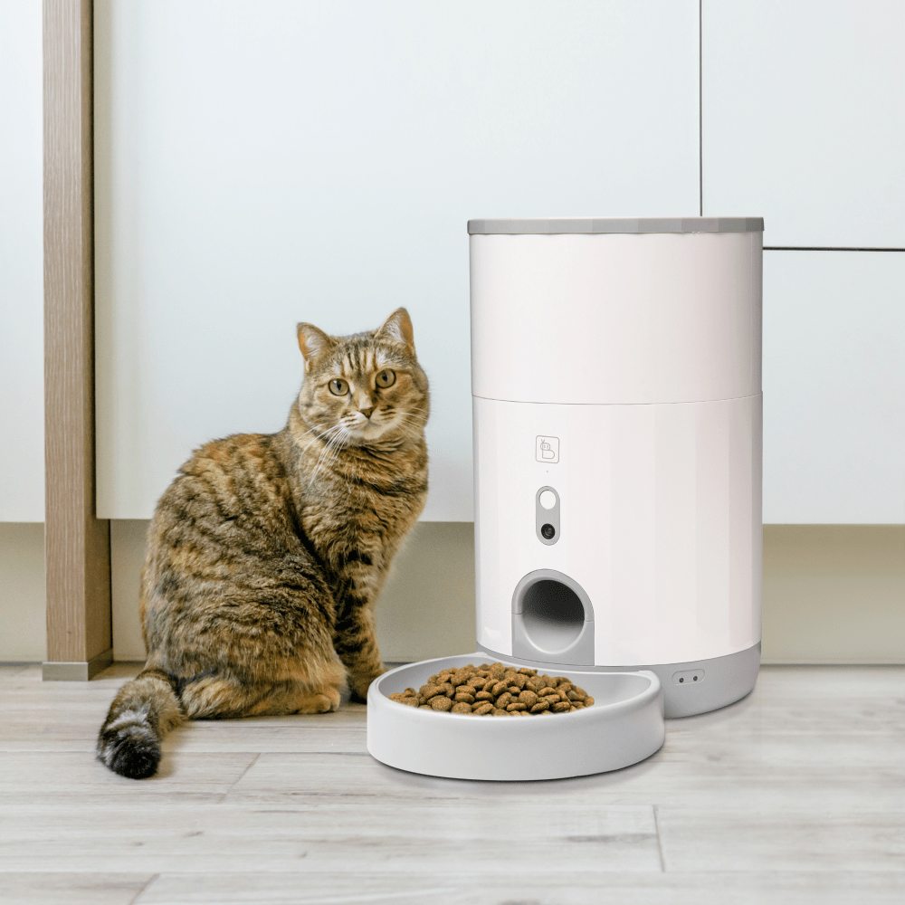 Buy BayBot Smart Feed Automatic Pet Feeder Dry Online Supertails