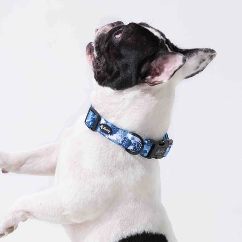 Furry & Co Cool Camo Comfort Collar for Dogs