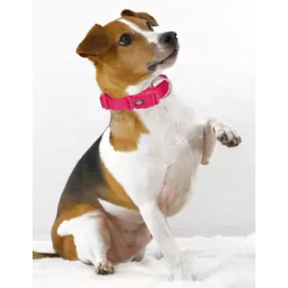 Trixie Premium Collar for Dogs (Fuchsia)