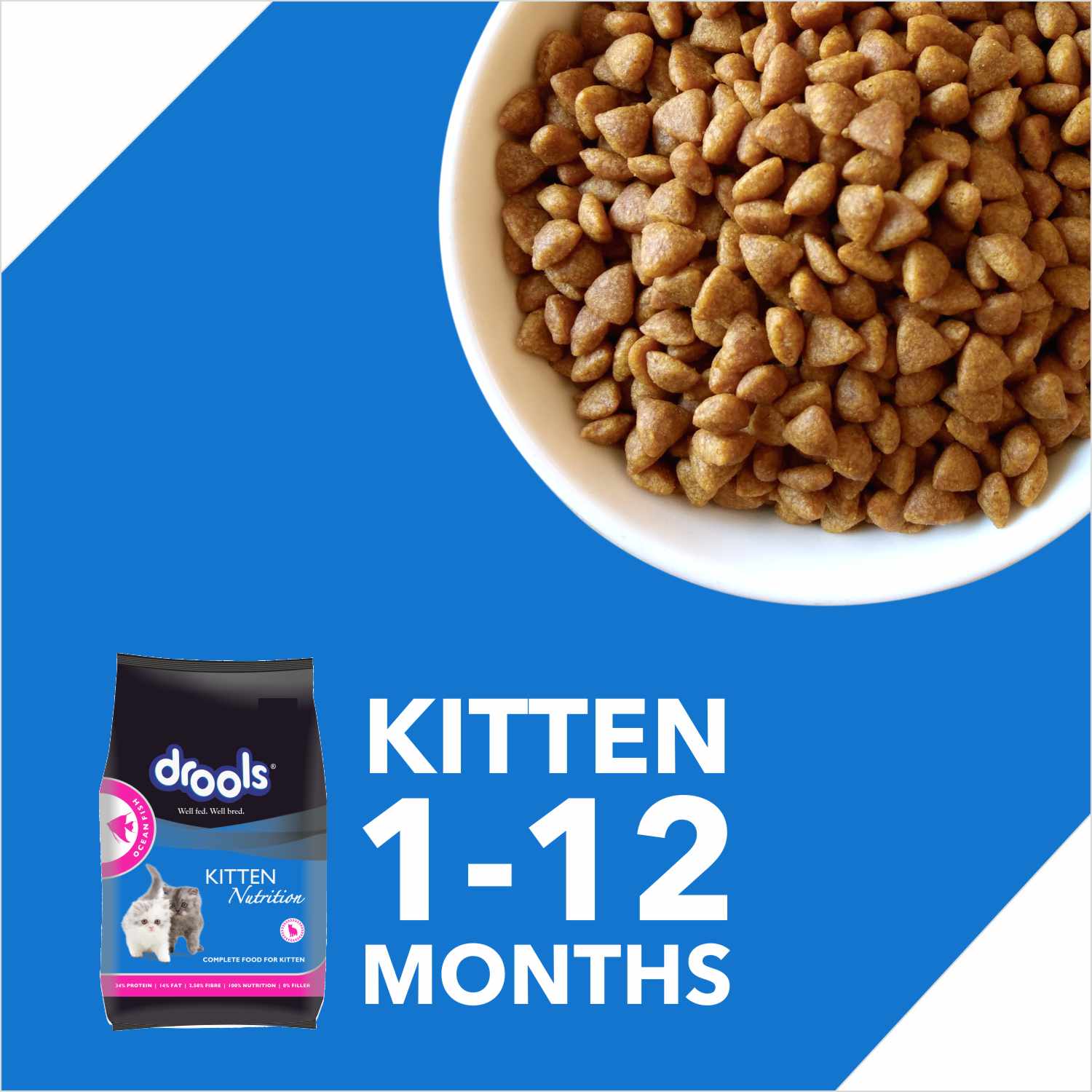 Drools Ocean Fish Kitten Cat Dry Food Cats- Dry food Drools